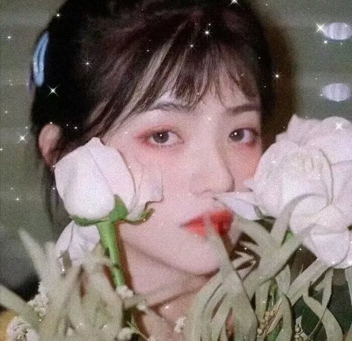 寒夜星暖封面